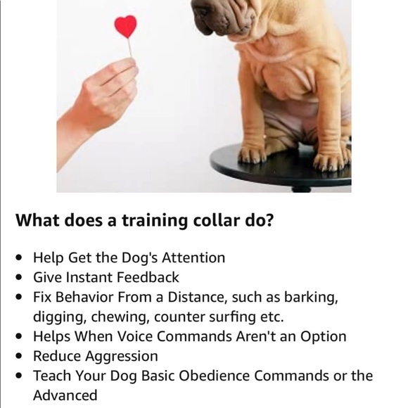 Waterproof Dog Training Collar, Rechargeable Shock Collar for Medium, Large Dogs - Picture 12 of 12